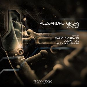 Status (Julian Ess Remix)