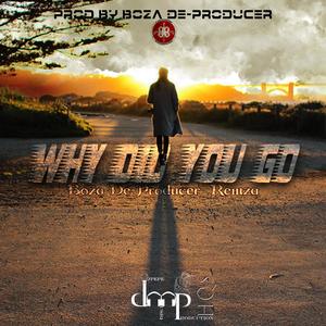 Why Did You Go (feat. Remza)