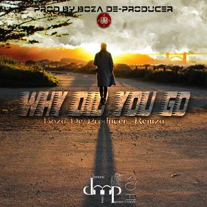 Why Did You Go(feat. Remza)