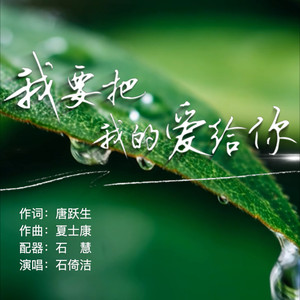 我要把我的爱给你封面