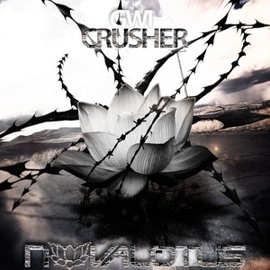 Crusher (Original Mix)