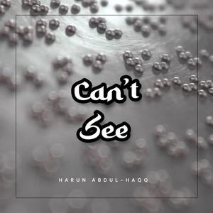 Can't See