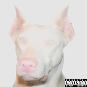 Place & Time (Explicit)