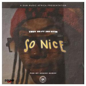 So Nice (feat Jay Stin)