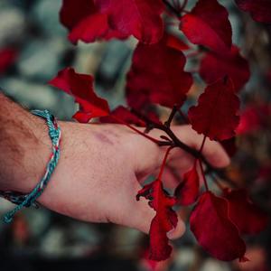 bleedin' (feat. FrostyOfficial & Young Kiwi) (Explicit)