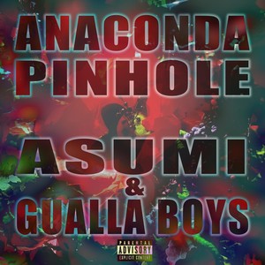 Anaconda Pinhole (feat. Gualla Boys) [Explicit]