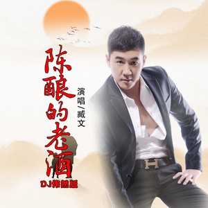 陈酿的老酒-DJ伟然版