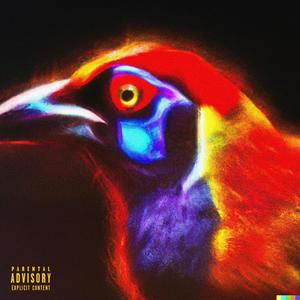 Bird's Eye View (feat. Eearz) [Explicit]