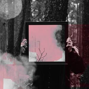 Parallel Echoes