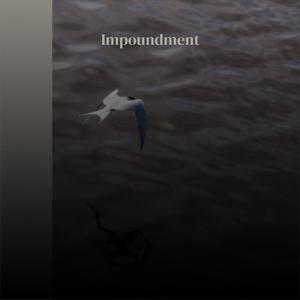 Impoundment