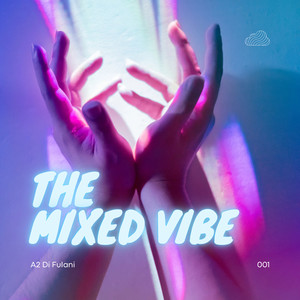 The Mixed Vibe (Explicit)