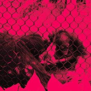 SAY WHAT YOU SAY RMX 2