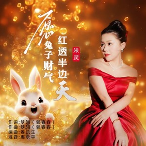 愿兔子财气红透半边天