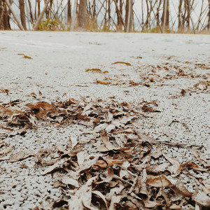 说谎的人没资格