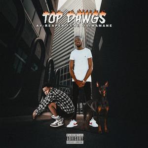 Top dawg (feat. Ay-Reaper & Usimamane) [Explicit]
