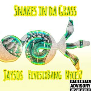 Snakes in Da Grass (Explicit)