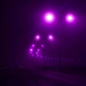 RED LIGHT (feat. be.foreal.kore & sg30) (Explicit)