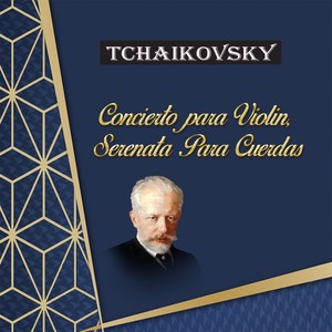 Violin Concerto in D Major, Op. 35 - I. Allegro moderato—Moderato assai