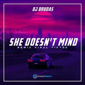 DJ She Doesn't Mind - Inst