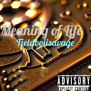 Meaning of Life (Explicit)