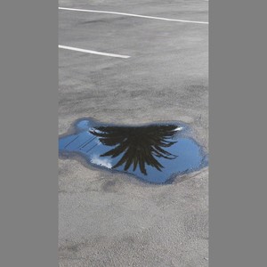 茶聚Tea-gether(一启茶推广曲）