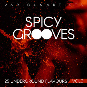 Spicy Grooves (25 Underground Flavours), Vol. 3