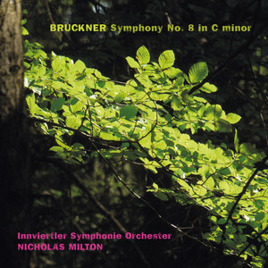 Bruckner: Symphony No. 8 in C Minor, WAB 108 (1890 Version, Ed. Nowak) - III. Adagio - Feierlich langsam, doch nicht schleppend (Live)