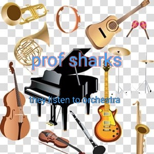 They listen to orchestra