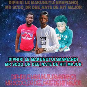 Diphiri Le Makunutu Amapiano Mix(feat. Dr Dee & Nate De Hit Major)