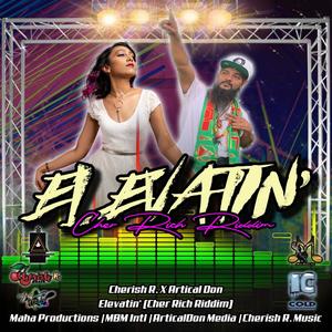 ELEVATIN(feat. ARTICAL DON)