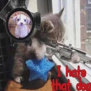 homicide (feat. nferior) (Explicit)