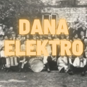 Danaelektro (Explicit)