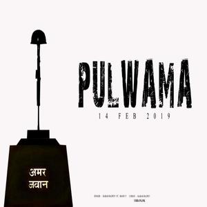 PULWAMA (feat. Manu V)