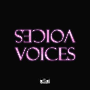 Voices (Explicit)