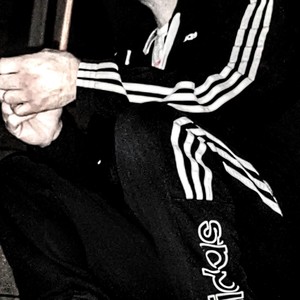 Flamboyant horses beat