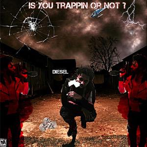 Is You Trappin Or Nahh (Explicit)