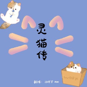 灵猫传