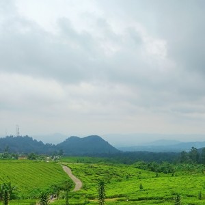 Kau cinta pertama dan terakhir