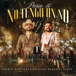 Para Ti No Tengo Un No