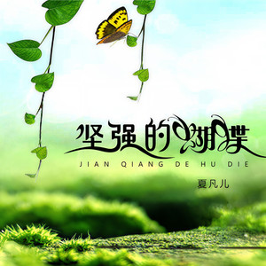 坚强的蝴蝶