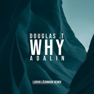 Why (Ludvig Löjdmark Remix)