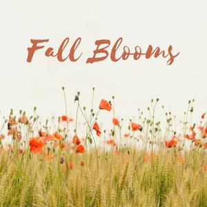 Fall Blooms