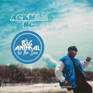 THE BIG ANIMAL IN THE ZOO EP (Explicit)