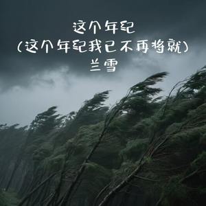 这个年纪 (这个年纪我已不再将就)