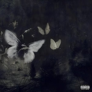 Butterfly (Explicit)