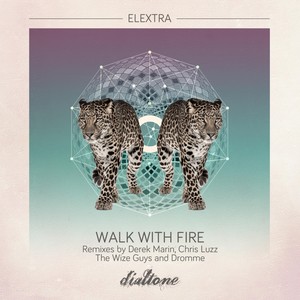 Walk With Fire (Chris Luzz Remix)