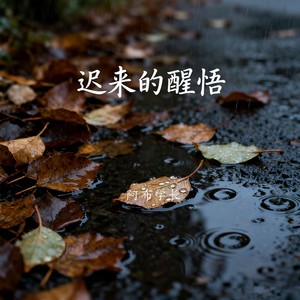 迟来的醒悟