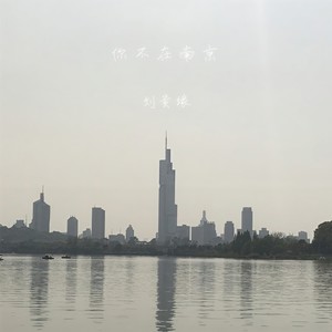 你不在南京
