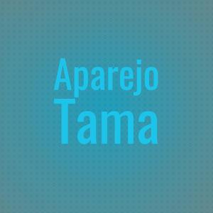 Aparejo Tama