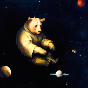 The memoir of a bear in space